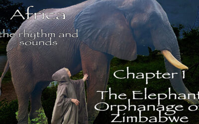 Let’s Go On A Safari