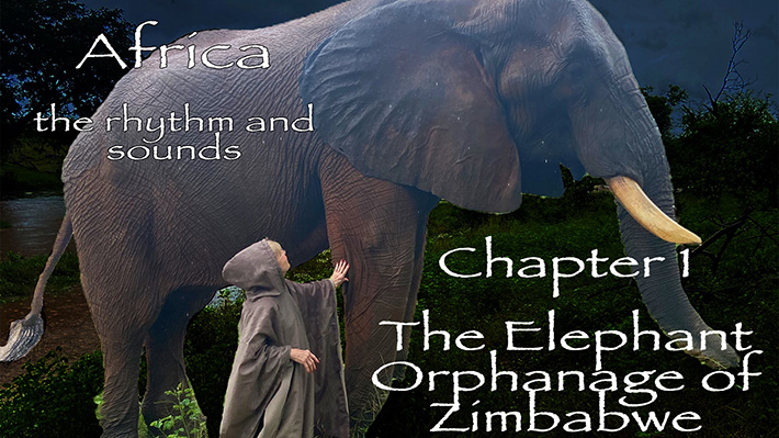 Let’s Go On A Safari