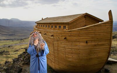 Who doesn’t love to laugh?