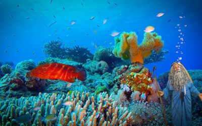 Making Of “Who Moved Mount Ararat?”