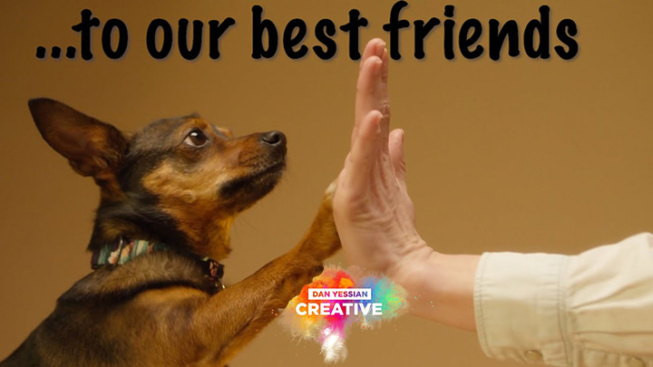 Where Would We Be Without Our Furry Best Friends