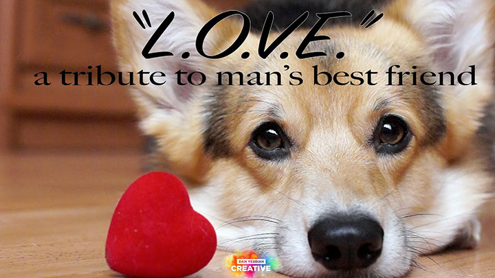 Calling All Pet Lovers – Show Off Your Furry Best Friend